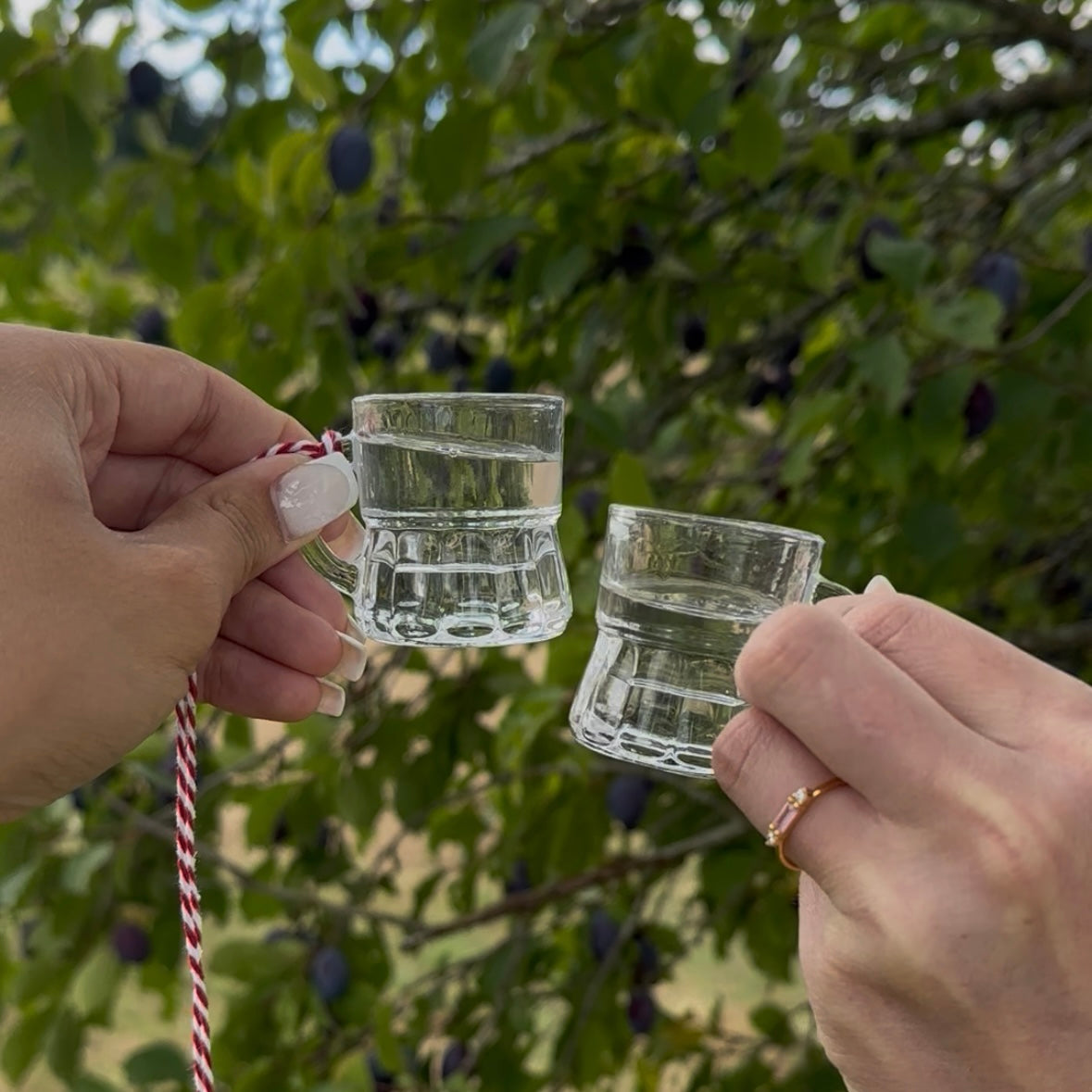 Schnaps-Wanderung Gechingen